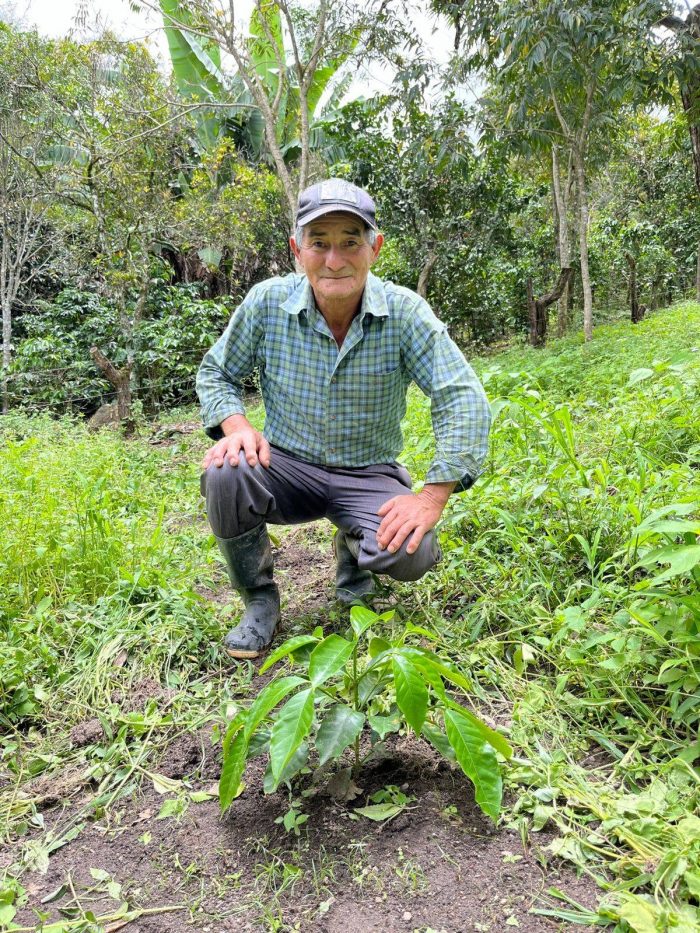 Image credits: APROCAOH (Asociación de Productores Cafetaleros de Occidente de Honduras).
