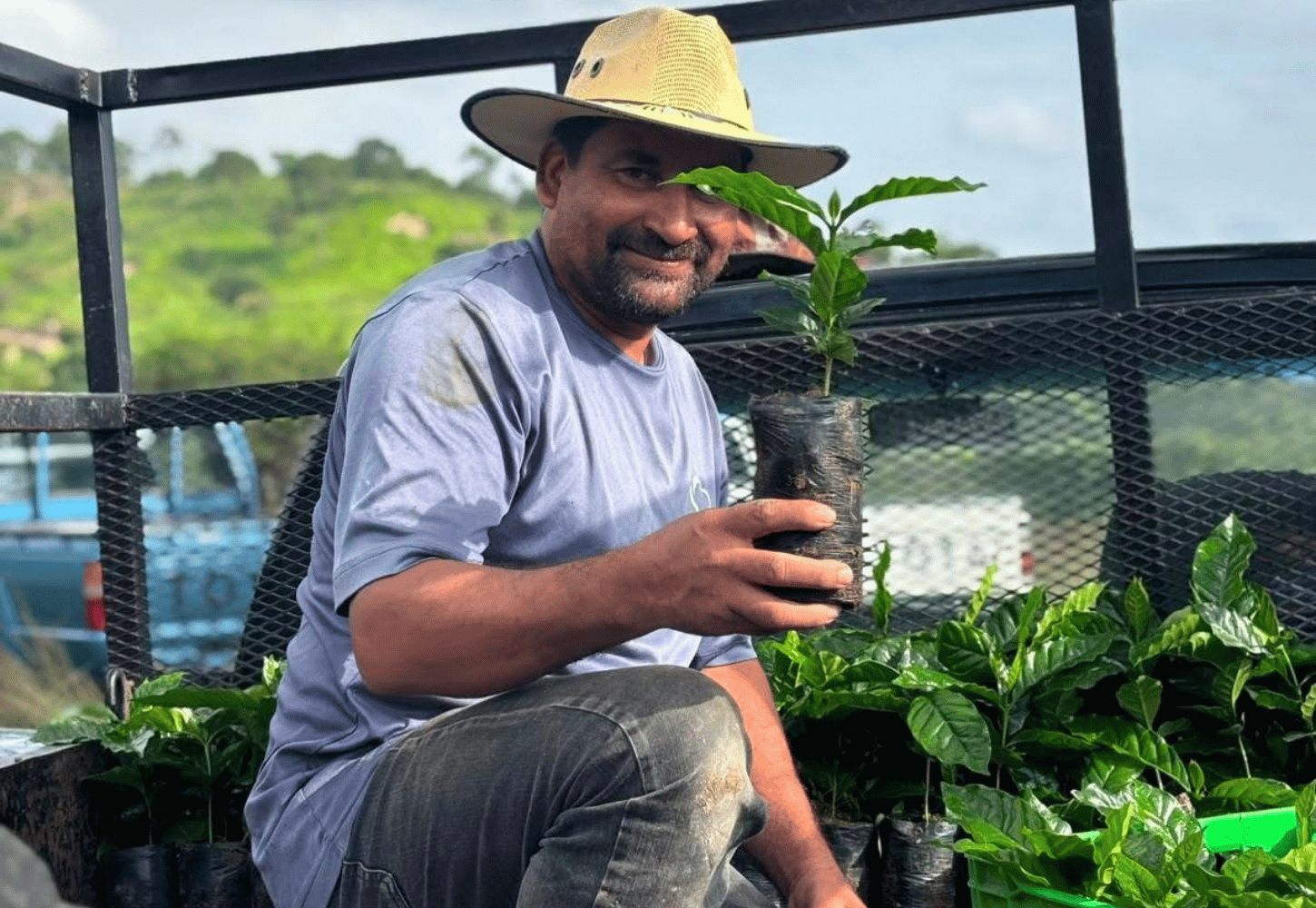 APROCAOH (Asociación de Productores Cafetaleros de Occidente de Honduras)